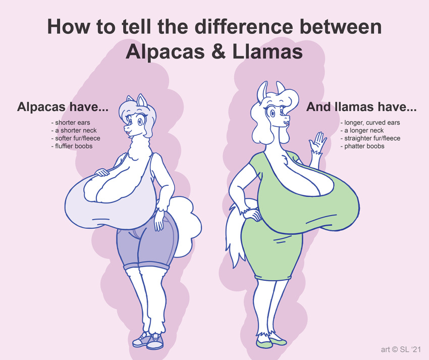 2021 alpaca anthro big_breasts bottomwear breasts camelid clothing digital_media_(artwork) dress duo english_text female footwear fur gesture hair hand_on_breast hand_on_hip hi_res huge_breasts hyper hyper_breasts llama mammal open_mouth satsumalord shirt shoes shorts sketch sneakers text thick_thighs topwear waving wool_(fur)