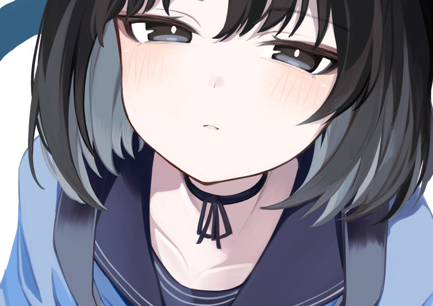 1girl absurdres black_eyes black_hair black_sailor_collar blue_archive blush close-up closed_mouth collarbone hair_between_eyes haori highres japanese_clothes kikyou_(blue_archive) looking_at_viewer portrait rotroto sailor_collar short_hair simple_background solo white_background