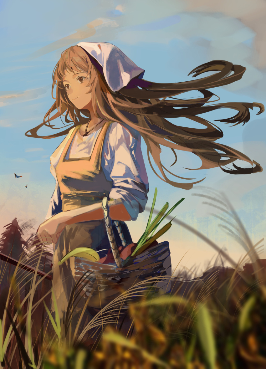 1girl absurdres basket brown_eyes brown_hair cloud evening food fruit grass highres holding holding_basket jenmin12 jewelry long_hair looking_to_the_side necklace original solo tall_grass wind