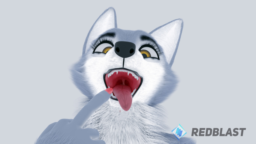 16:9 3d_(artwork) anthro biped canid canine canis digital_media_(artwork) fangs female fur gesture hi_res illumination_entertainment looking_at_viewer mammal middle_finger mouth_shot open_mouth porsha_crystal redblast simple_background sing_(movie) solo teeth tongue tongue_out uvula widescreen wolf yellow_eyes
