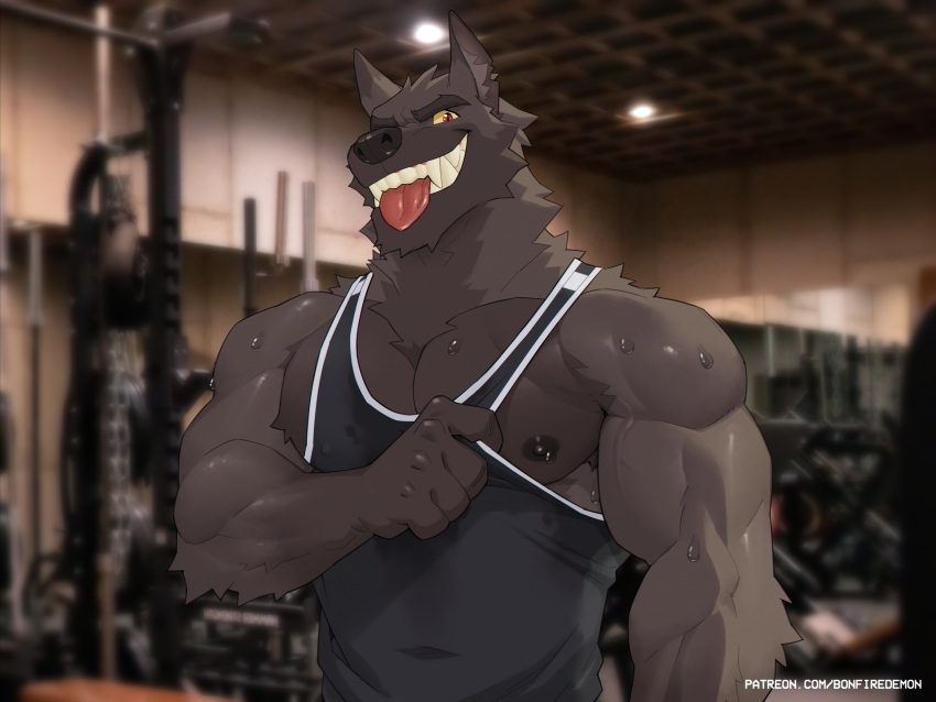 2024 4:3 absurd_res anthro big_pecs biped black_nipples bodily_fluids bonfiredemon brown_body brown_fur canid canine canis digital_media_(artwork) fangs fur grey_body grey_fur gym hi_res male mammal multicolored_body multicolored_fur muscular muscular_anthro muscular_male nipples pecs solo sweat teeth tongue tongue_out two_tone_body two_tone_fur wolf