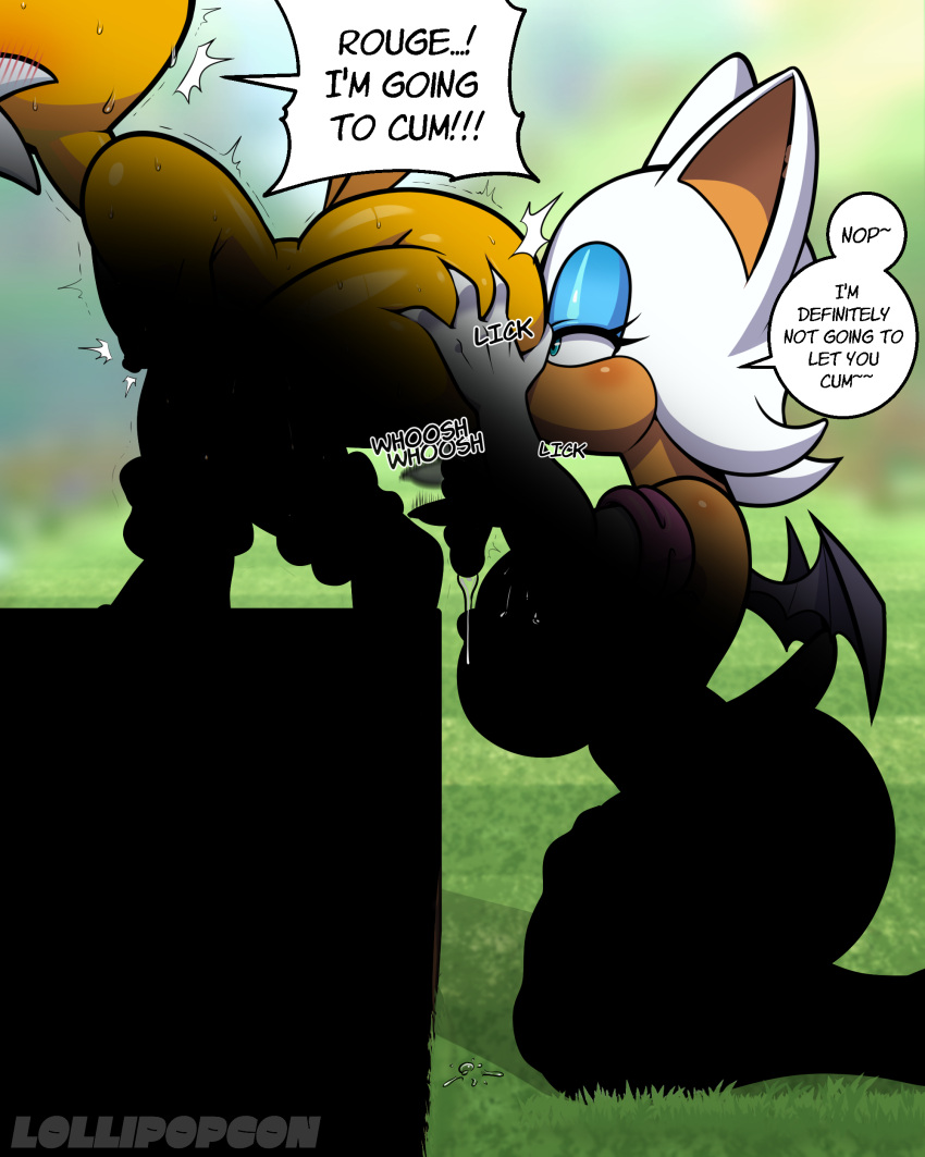 absurd_res age_difference anal anthro bat canid canine dialogue duo female fox handjob hi_res lollipopcon male male/female mammal miles_prower older_female oral penile rimming rouge_the_bat sega sex sonic_the_hedgehog_(series) speech_bubble younger_male