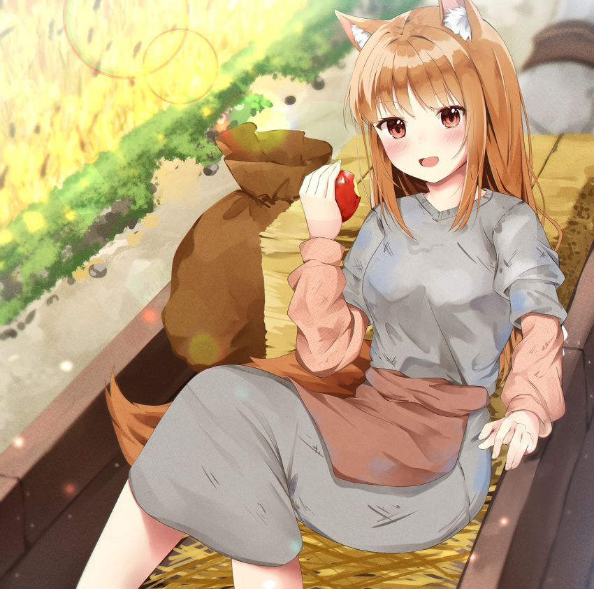 1girl :d aizawa_(aizawatsu) animal_ear_fluff animal_ears apple apron arm_at_side bitten_apple blurry blush brown_hair carriage commentary day depth_of_field dress eyelashes fang feet_out_of_frame food food_bite fruit grey_dress hair_between_eyes hand_up happy highres holding holding_food holding_fruit holo knees_together_feet_apart knees_up lens_flare long_dress long_hair long_sleeves looking_at_viewer open_mouth outdoors puffy_long_sleeves puffy_short_sleeves puffy_sleeves red_apple red_eyes short_sleeves sidelocks sitting smile solo spice_and_wolf straight_hair tail tsurime waist_apron wolf_ears wolf_girl wolf_tail