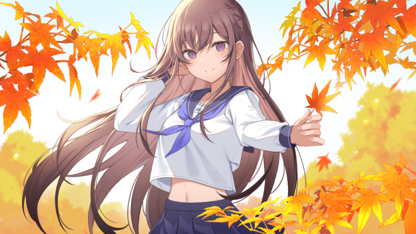 1girl autumn autumn_leaves bangs banned_artist blue_sailor_collar blue_skirt blush brown_hair closed_mouth commentary_request day hand_in_own_hair highres holding holding_leaf icomochi leaf long_hair long_sleeves looking_at_viewer midriff_peek navel original outdoors pleated_skirt purple_eyes sailor_collar school_uniform serafuku shirt sidelocks skirt smile solo very_long_hair white_shirt