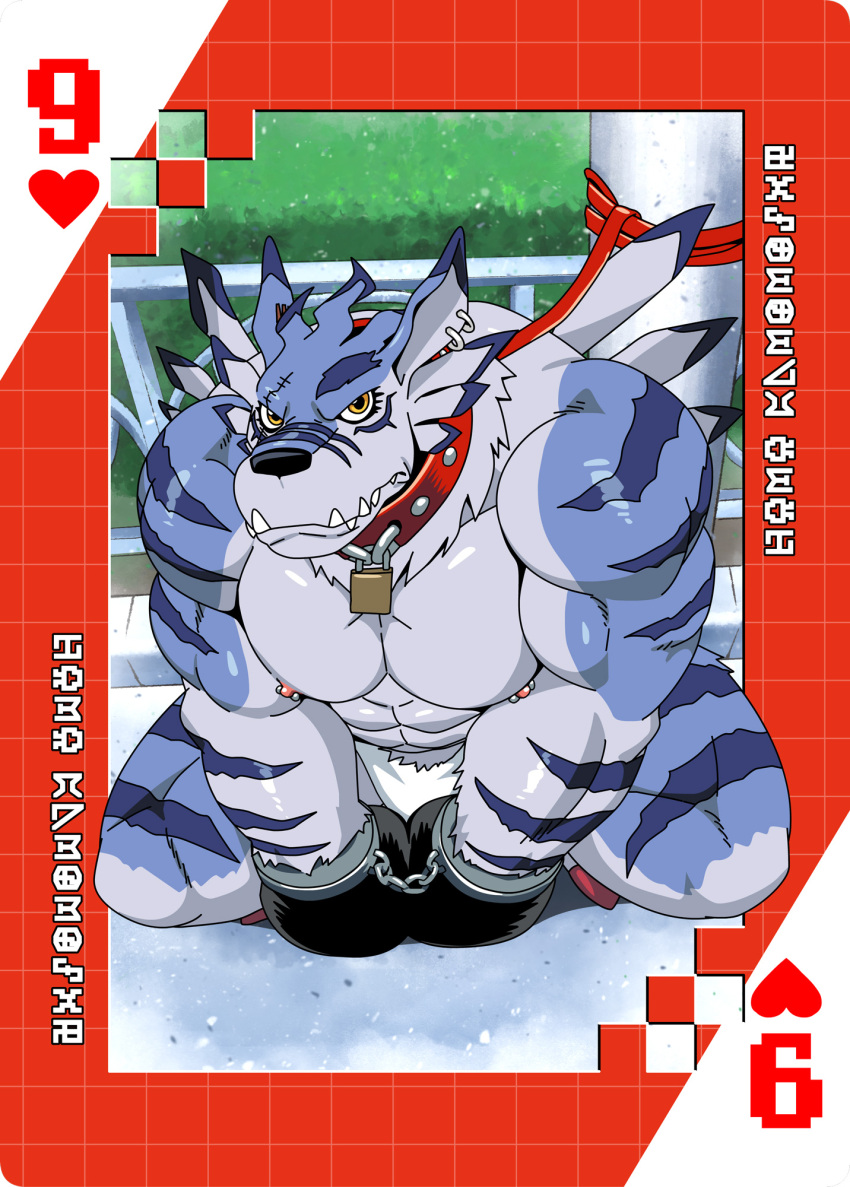 abs anthro bandai_namco bound card collar digimoji digimon digimon_(species) ear_piercing ear_ring fur hands_tied hi_res kneeling leash lock male muscular muscular_anthro muscular_male nipples padlock pecs piercing playing_card ring_piercing roaringmoon scar solo striped_body striped_fur stripes suit_symbol weregarurumon