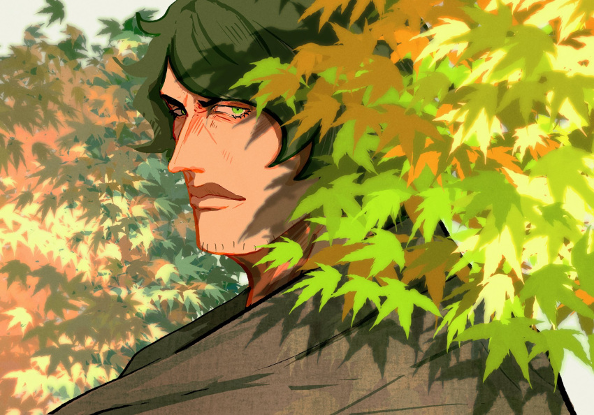 1boy a_ddove aramaki_(ryokugyu) autumn autumn_leaves black_hair black_kimono facial_hair goatee green_eyes highres japanese_clothes kimono leaf looking_at_viewer male_focus medium_hair one_piece outdoors portrait shadow solo thick_lips v-shaped_eyebrows