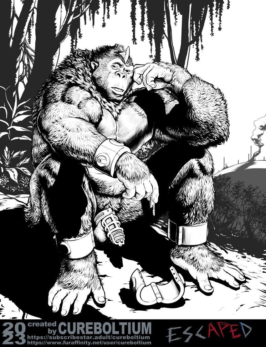 1_horn 2023 5_fingers 5_toes absurd_res anthro ape balls biped chastity_cage chastity_device cuff_(restraint) cureboltium detailed_background duo english_text feet fingernails fingers fur genitals gorilla hand_on_own_face haplorhine hi_res holding_key holding_object horn key looking_at_viewer male mammal monochrome muscular muscular_anthro muscular_male nails open_mouth outside penis plant primate restraints sitting sitting_on_ground smoke solo teeth text toenails toes tree url