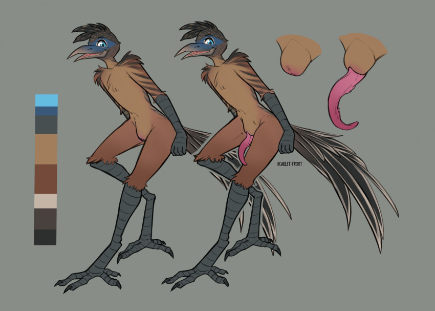4_toes animal_genitalia anthro avian beak bird blue_eyes claws cuculiform feathers feet genitals hi_res looking_at_viewer male model_sheet new_world_ground_cuckoo nude penis roadrunner scarlet-frost scuted_arms scuted_legs scutes sheath simple_background solo tapering_penis toes zygodactyl