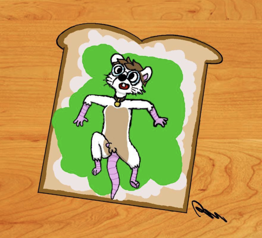 anthro bread brown_hair buckteeth collar confusion eyewear food fur genitals glasses hair lettuce looking_at_viewer looking_confused male mammal mayonnaise micro mouse mouse_tail murid murine penis plant robbie_the_mouse robmouse67 rodent small_penis solo teeth vegetable white_body white_fur