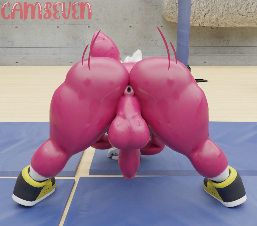 3d_(artwork) anthro anus backsack balls big_butt bodily_fluids butt camseven chip_(sonic) clothing digital_media_(artwork) footwear fur genitals girly gym hair hi_res jack-o'_pose male mammal penis perineum pose presenting presenting_hindquarters rear_view red_body red_fur sega shoes solo sonic_the_hedgehog_(series) sonic_unleashed sweat teapot_(body_type) unknown_species watermark white_hair wide_hips wings