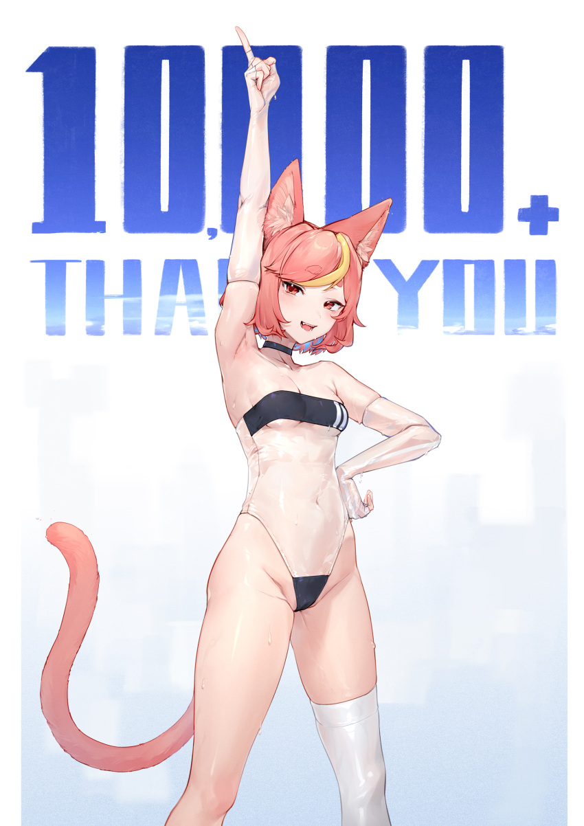 1girl :d absurdres animal_ear_fluff animal_ears arm_up black_choker blonde_hair breasts cat_ears cat_girl cat_tail choker elbow_gloves fingerless_gloves gloves gris_swimsuit highres lingxia looking_at_viewer meme_attire milestone_celebration multicolored_hair one-piece_swimsuit original pink_hair red_eyes see-through short_eyebrows short_hair single_thighhigh small_breasts smile solo streaked_hair swimsuit tail thank_you thick_eyebrows thighhighs white_thighhighs