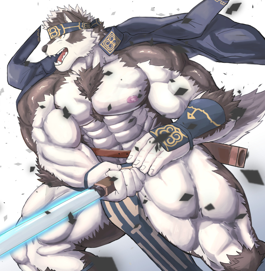 1boy abs bara biceps black_fur coat collared_coat dog_boy dust furry furry_male gauntlets headband highres horkeu_kamui large_pectorals looking_to_the_side male_focus manly mature_male miazuma_shouki multicolored_fur muscular muscular_male nipples open_mouth pectorals scabbard sharp_teeth sheath simple_background solo sword teeth thick_arms thick_thighs thighs tokyo_afterschool_summoners tongue weapon white_fur yellow_eyes