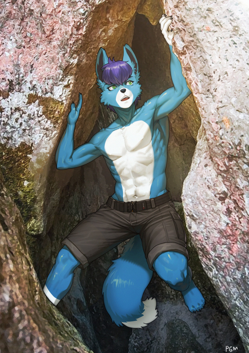 2022 absurd_res anthro barefoot belt blue_body blue_fur bottomwear canid canine clothing feet fox fur hair hi_res male mammal muscular muscular_anthro muscular_male pgm300 photo_background purple_hair shorts signature white_body white_fur