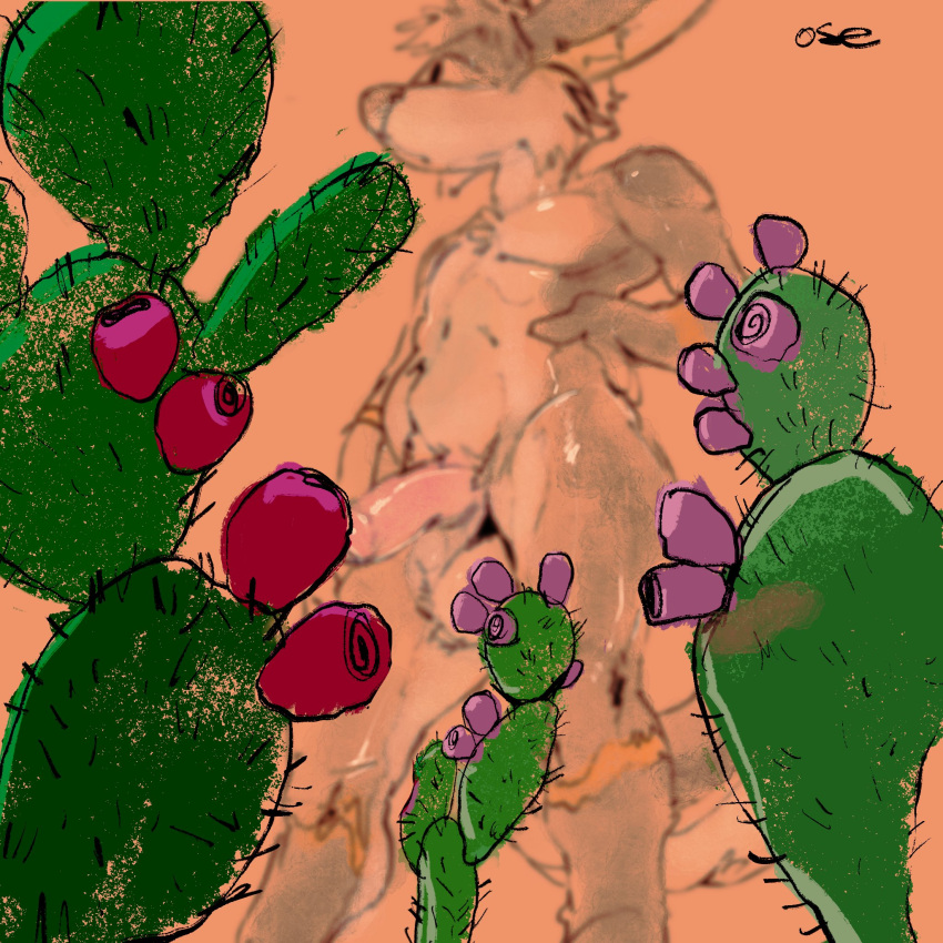 1:1 anthro arm_markings ball_tuft balls blurred_character cactus cheek_tuft facial_tuft front_view genitals grey_body grey_ears half-erect hi_res humanoid_genitalia humanoid_penis inner_ear_fluff leg_markings male markings mouth_closed navel oselotti penis pink_penis plant signature solo tuft yellow_markings