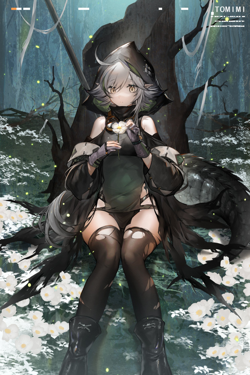 1girl absurdres ahoge ankle_boots arknights bangs bare_shoulders black_dress black_footwear black_thighhighs boots character_name closed_mouth crocodilian_tail dress expressionless feet_out_of_frame field flower flower_field forest gloves grass grey_gloves grey_hair highres holding holding_flower hood hood_up knees_together_feet_apart long_hair long_sleeves nature on_floor partially_fingerless_gloves pelvic_curtain sitting solo swept_bangs tail thighhighs tomimi_(arknights) torn_clothes torn_legwear tree_stump white_flower yellow_eyes yu-x
