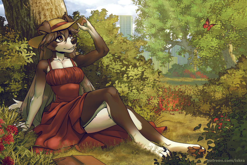 2022 4_toes 5_fingers anthro breasts brown_eyes canid canine canis city clothed clothing day detailed_background digital_media_(artwork) domestic_dog eyebrows eyelashes feet female fingers iskra mammal outside park sitting sky smile solo toes