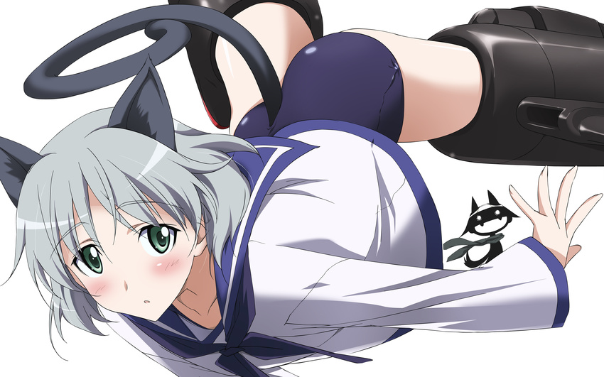 absurdres animal_ears blush cosplay green_eyes highres kurashima_tomoyasu miyafuji_yoshika miyafuji_yoshika_(cosplay) non-web_source object_on_head panties panties_on_head sailor sanya_v_litvyak school_swimsuit short_hair silhouette_demon silver_hair solo strike_witches striker_unit swimsuit swimsuit_under_clothes tail underwear vector_trace wardrobe_error world_witches_series