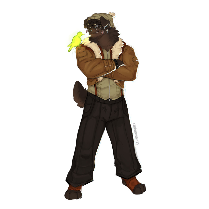 absurd_res accessory acne anthro avian bandage bandage_on_face beanie bird black_coded bomber_jacket bottomwear braces brown_body brown_fur canid canine canis cerberussenn clothing crossed_arms crystal dimple docked_tail domestic_dog dreadlocks ear_piercing facial_hair floppy_ears fluffy footwear fur fur_trim_(clothing) green_eyes hair_accessory hair_ring hat headgear headwear hi_res jacket livestock_guardian_dog magic_user male mammal molosser mountain_dog mustache pants pastoral_dog paw_socks piercing rj_holiday_(cerberussenn) shell short_tail smile snaggle_tooth socks solo stubble suspenders sweater tail tan_body tan_fur tibetan_mountain_dog toeless_footwear toeless_socks topwear wide_stance