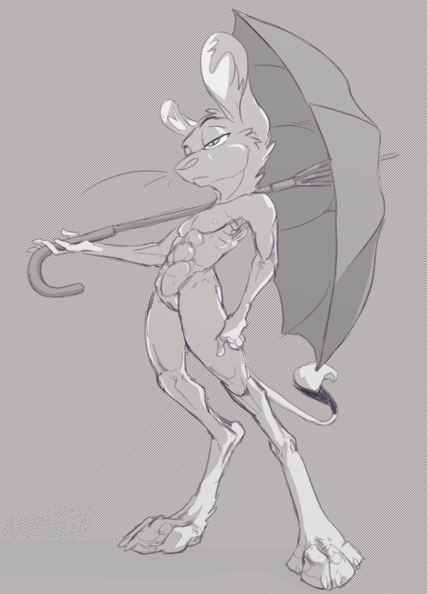 2022 abs animancer belly_nipples claws dipodid female green_eyes greyscale hi_res jerboa luck_(animancer) mammal monochrome muscular muscular_arms muscular_female muscular_legs nipples nude rodent umbrella whiskers