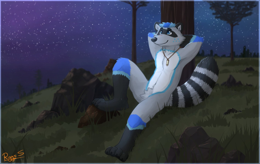 anthro black_body black_ears black_eyebrows black_fur black_nose blue_body blue_eyes blue_fur blue_hair cheek_tuft clear_sky closed_smile crotch_tuft eyebrows facial_spots facial_tuft featureless_crotch fur glistening glistening_eyes gloves_(marking) grey_body grey_fur hair hi_res jewelry leg_markings looking_up male mammal markings mouth_closed multicolored_body multicolored_fur necklace night nude on_ground outside pache_riggs plant procyonid raccoon reclining signature sky socks_(marking) solo spotted_face striped_body striped_fur striped_markings striped_tail stripes tail_markings three-quarter_view tree tuft white_body white_fur