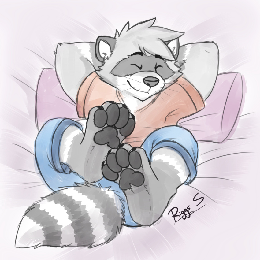 1:1 anthro bedding bedding_background black_eyebrows black_pawpads blue_bottomwear blue_clothing blue_pants bottomwear cheek_tuft closed_smile clothed clothing eyebrows eyes_closed facial_tuft front_view fur grey_body grey_ears grey_fur grey_hair grey_nose grey_tail hair hands_behind_head happy hi_res inner_ear_fluff lying male mammal markings mouth_closed on_back pache_riggs pants pawpads procyonid raccoon red_clothing red_shirt red_t-shirt red_topwear shirt signature solo striped_markings striped_tail stripes t-shirt tail_markings topwear tuft white_body white_fur white_inner_ear white_inner_ear_fluff white_tail