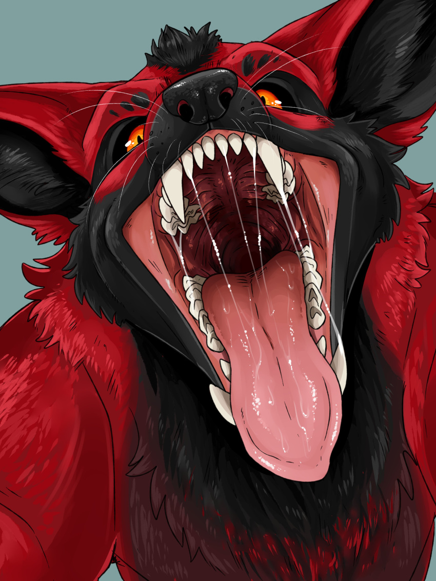 3:4 absurd_res anthro black_body black_fur black_head_tuft black_inner_ear black_nose black_sclera blue_background bodily_fluids bust_portrait canid cheek_tuft chest_tuft facial_tuft front_view fur glistening glistening_eyes glistening_nose glistening_tongue head_tuft hi_res imperatorcaesar looking_at_viewer male mammal mouth_shot open_mouth orange_eyes pink_tongue portrait red_body red_ears red_fur saliva saliva_on_tongue saliva_string simple_background solo tongue tongue_out tuft unsigned whiskers