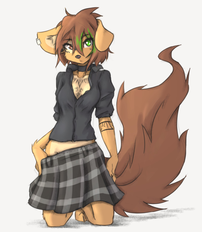 absurd_res anthro apogee_(tinygaypirate) arm_tuft big_tail black_nails black_nose bottomwear bottomwear_pull breasts brown_body brown_eyes brown_fur brown_hair canid canine canis cheek_tuft choker clothed clothing clothing_pull colored_nails cowlick digitigrade domestic_dog dress_shirt ear_piercing eyebrow_through_hair eyebrows facial_markings facial_piercing facial_tuft female floppy_ears fur furgonomics furry-specific_piercing gauged_ear green_eyes green_hair grey_background hair head_markings heterochromia hi_res highlights_(coloring) inner_ear_fluff jewelry kneeling looking_at_viewer mammal markings messy_hair mottled mottled_nose multicolored_hair muzzle_piercing nails necklace no_underwear nose_piercing pattern_bottomwear pattern_clothing pattern_skirt piercing pink_nose plaid plaid_bottomwear plaid_clothing plaid_skirt shadow shirt short_hair simple_background skirt skirt_pull slim solo spitz tinygaypirate topwear translucent translucent_hair tuft two_tone_hair wrist_tuft