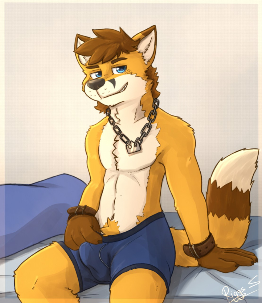 anthro bed boxers_(clothing) bulge canid canine canis chain clothed clothing countershading cuff_(restraint) detailed_bulge fox furniture genital_outline hi_res hybrid jewelry male mammal necklace pache_riggs partially_clothed penis_outline restraints richart_(richartwf) shackles solo teenager underwear wolf young