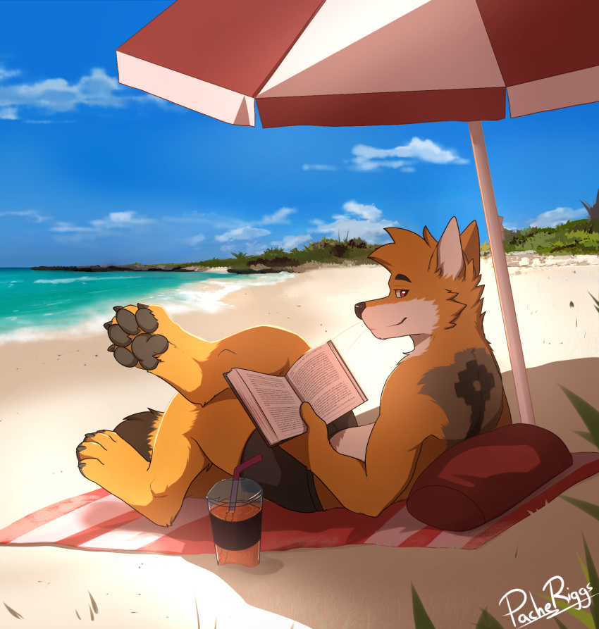 anthro beach beverage black_bottomwear black_clothing blue_sky bottomwear brown_nose canid clothed clothing cloud crossed_legs fur glistening glistening_eyes grey_body grey_fur grey_pawpads hair hi_res male mammal narrowed_eyes orange_body orange_fur orange_hair outside pache_riggs pawpads pillow reclining red_eyes red_pillow seaside short_hair side_view signature sky solo topless white_body white_fur