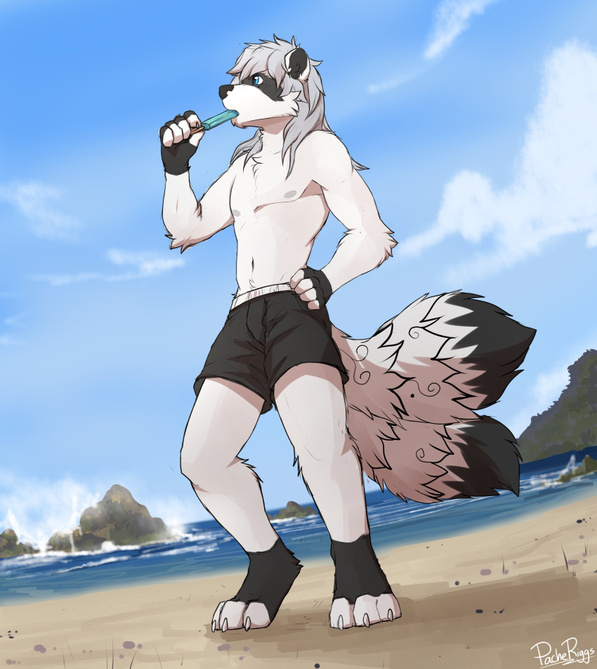 absurd_res anthro beach black_body black_bottomwear black_clothing black_fur black_shorts blue_eyes blue_sky bottomwear clothed clothing food full-length_portrait fur glistening glistening_eyes grey_body grey_fur grey_hair hair hand_on_hip hi_res holding_food holding_object holding_popsicle low-angle_view male mammal midriff navel nipples outside pache_riggs popsicle popsicle_in_mouth portrait procyonid raccoon rock seaside shorts signature sky solo standing three-quarter_view topless white_body white_fur