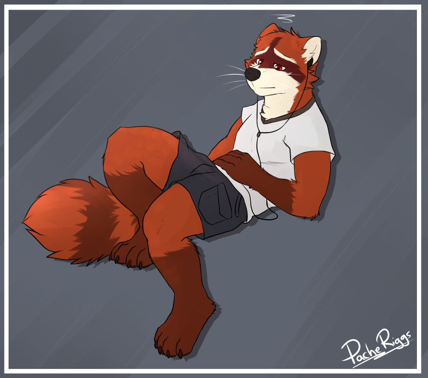 anthro black_bottomwear black_clothing black_nose black_pants bottomwear cheek_tuft chest_tuft clothed clothing facial_tuft fur glistening glistening_eyes gloves_(marking) hi_res inner_ear_fluff leg_markings male mammal markings mouth_closed narrowed_eyes orange_body orange_fur pache_riggs pants procyonid raccoon reclining red_eyes shirt signature simple_background socks_(marking) solo striped_body striped_fur striped_markings striped_tail stripes t-shirt tail_markings topwear tuft whiskers white_body white_clothing white_fur white_inner_ear_fluff white_shirt white_t-shirt white_topwear