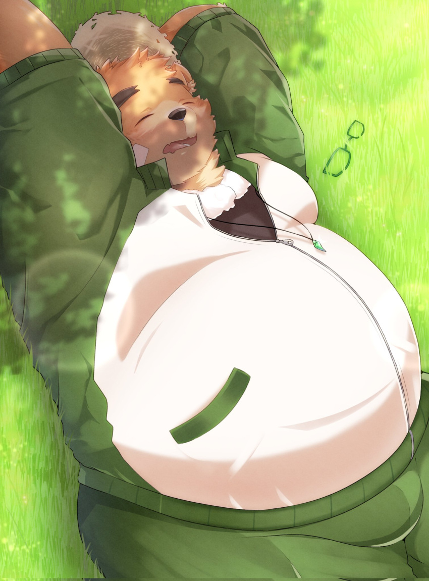 2022 anthro belly big_belly black_nose bottomwear brown_body clothing detailed_background eyes_closed hat headgear headwear hi_res kemono lifewonders lying male mammal outside overweight overweight_male pants solo sora_idiotka straw_hat tokyo_afterschool_summoners ursid video_games volos