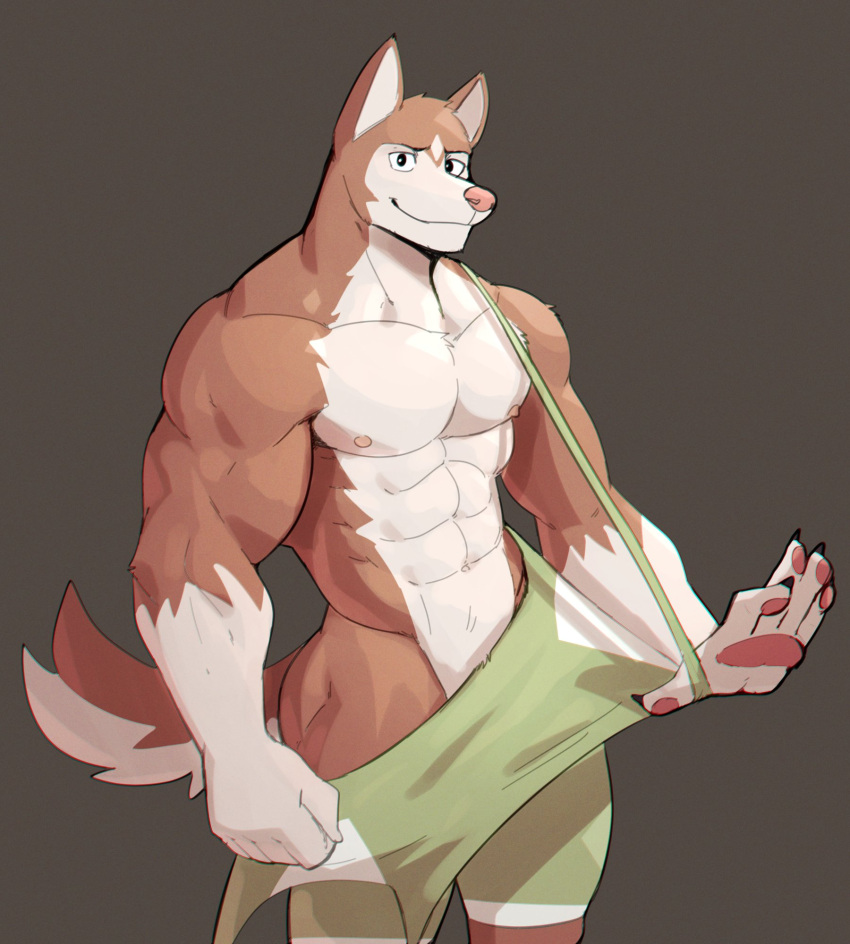 2022 abs anthro biceps big_muscles canid canine claws clothed clothing clothing_pull fur grey_background hi_res jrjresq looking_at_viewer male mammal muscular muscular_anthro muscular_male navel nipples no_underwear obliques pawpads pecs simple_background smile solo standing tuft wrestling_singlet