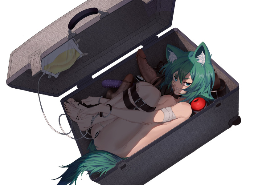1girl animal_ear_fluff animal_ears bandages bangs blue_eyes bound bound_legs breasts butt_plug catheter completely_nude cuffs dildo dog_boy dog_ears dog_girl gag gagged green_hair handcuffs highres looking_at_viewer misa_(929382672) nude original pee scar scar_across_eye sex_toy short_hair simple_background small_breasts solo suitcase thigh_strap white_background