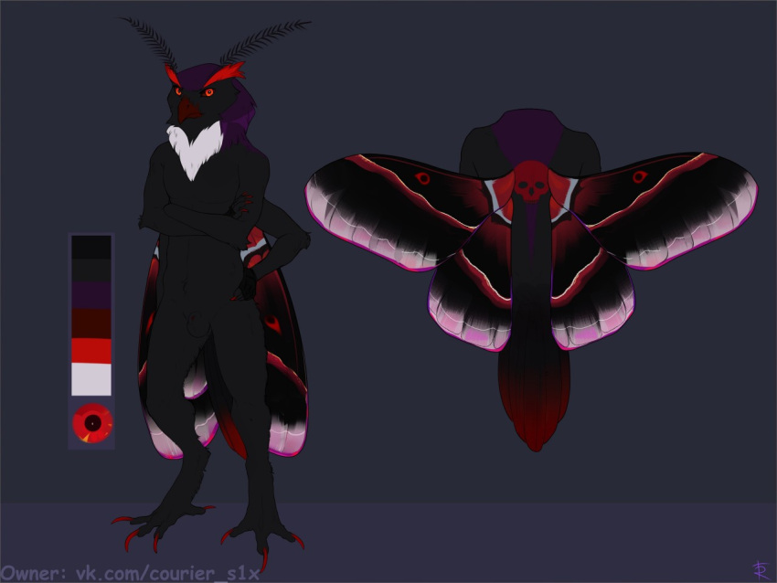 4:3 4_arms animal_genitalia anthro arthropod avian balls beak bird black_balls black_body black_fur black_sclera black_sheath black_wings claws famir_(artist) front_view full-length_portrait fully_sheathed fur genitals glistening glistening_eyes hybrid insect lepidopteran lepidopteran_wings looking_at_viewer male model_sheet moth multi_arm multi_limb nude owl pink_wings portrait red_beak red_claws red_eyes red_wings sheath simple_background solo standing wings