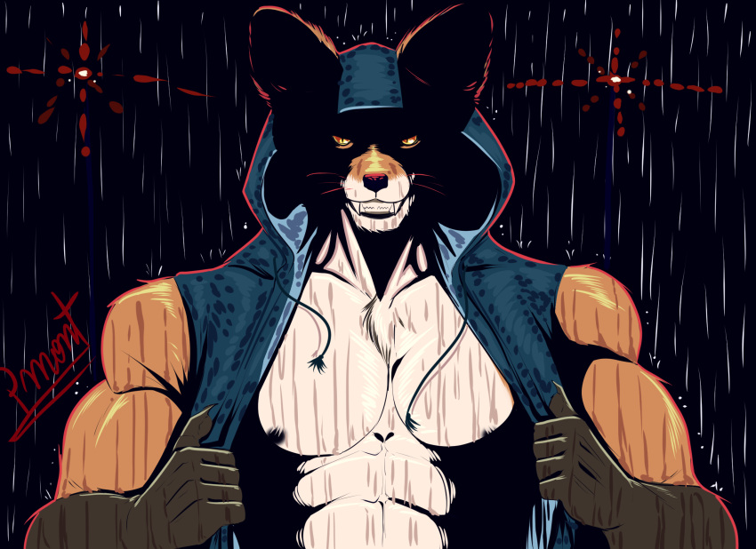 abs angry anthro biceps blue_clothing blue_hood brown_hands canid canine closed_smile clothed clothing clothing_grab fox hi_res hood looking_at_viewer male mammal muscular muscular_anthro muscular_male nipples orange_body pecs pinumontbalou raining red_fox simple_background solo teeth topwear vest wet wet_body wet_clothing yellow_eyes