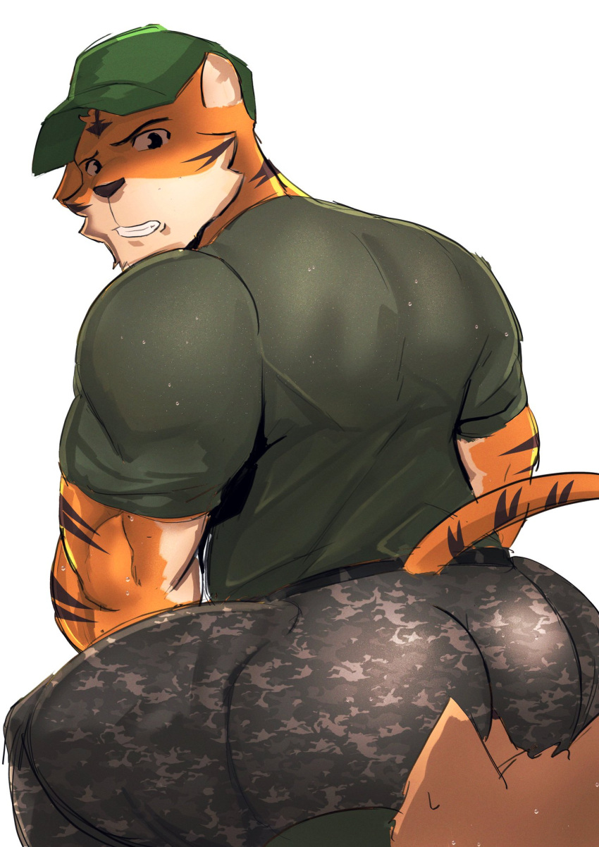 anthro bodily_fluids bottomwear butt camo camo_bottomwear camo_clothing camo_pants camo_print canid clothing duo felid fur fur_markings goldlightyou hat headgear headwear hi_res looking_at_another looking_back male male/male male_on_bottom male_on_top mammal markings military_pants military_uniform muscular muscular_anthro muscular_male on_bottom on_top orange_body orange_fur pantherine pants pattern_bottomwear pattern_clothing pattern_pants rear_view shirt striped_markings stripes sweat tan_body tan_fur teeth tiger topwear uniform