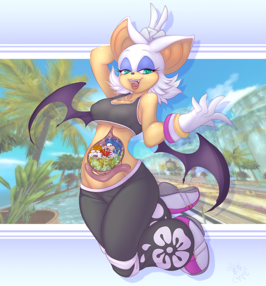 anthro athletic_wear bat_wings big_ears blue_eyeshadow bodily_fluids bra bracelet breasts canid canine chiropteran cleavage clothed clothing cownugget digestion digital_media_(artwork) echidna eulipotyphlan extreme_size_difference eyeshadow fangs female female_pred floral_print fox gesture gloves group guts handwear hedgehog hi_res imminent_digestion inside_stomach internal intestines jewelry jumping knuckles_the_echidna larger_female larger_pred licking_teeth lidded_eyes makeup male male/female male_prey mammal medium_breasts membrane_(anatomy) membranous_wings micro micro_prey midriff miles_prower monotreme multiple_prey oral_vore orange_body organs outside palm_tree plant rabbit_ears rouge_the_bat scared sega size_difference skinny small_waist smaller_male smaller_prey smile solo_focus sonic_the_hedgehog sonic_the_hedgehog_(series) sports_bra stomach stomach_acid tongue tongue_out tree under_boob underwear v_sign vore white_clothing white_face white_gloves white_handwear wings