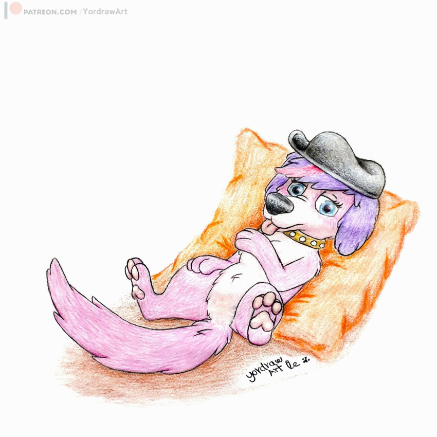 artist_name beret bird_dog blep blue_eyes canid canine canis cavalier_king_charles_spaniel clothing collar domestic_dog female feral fur hair hasbro hat headgear headwear hi_res hunting_dog littlest_pet_shop looking_at_viewer lying mammal multicolored_hair on_back patreon patreon_logo pawpads pillow purple_body purple_fur signature simple_background solo spaniel spread_legs spreading tongue tongue_out toy_dog traditional_media_(artwork) two_tone_hair white_background yordraw zoe_trent