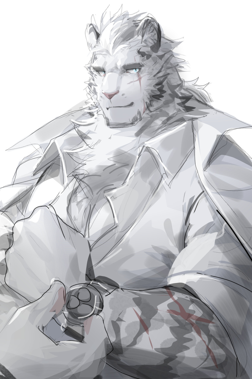 1boy absurdres animal_ears arknights bara fluffy formal furry furry_male highres large_pectorals long_hair looking_at_viewer looking_to_the_side male_focus mountain_(arknights) mountain_(book_reader)_(arknights) muscular muscular_male official_alternate_costume partially_unbuttoned pectoral_cleavage pectorals scar scar_across_eye scar_on_face shabi96522 sketch sleeves_rolled_up smile solo thick_eyebrows tiger_boy tiger_ears upper_body watch white_fur white_hair wristwatch