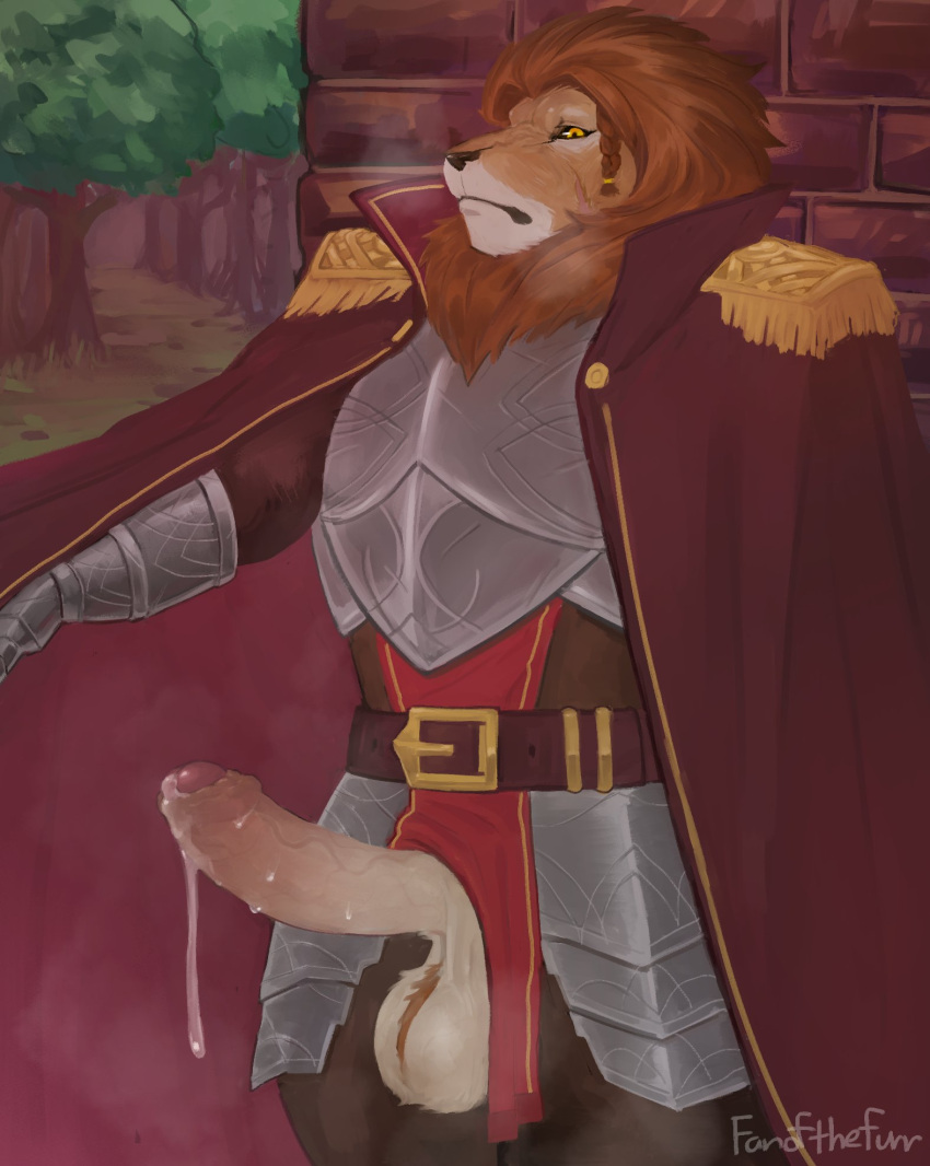 anthro fanofthefurr hi_res male solo