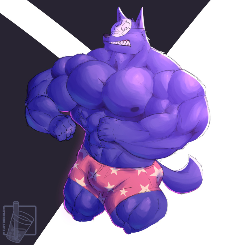2022 abs absurd_res anthro areola biceps big_bulge big_muscles black_background black_nose bottomwear bulge canid canine canis clothed clothing digital_media_(artwork) fur hi_res kedamono_(popee_the_performer) male mammal mask monotone_body monotone_fur muscular muscular_anthro muscular_male popee_the_performer prick_ears purple_body purple_fur sharp_teeth simple_background solo teeth topless tuftbubble white_background wolf