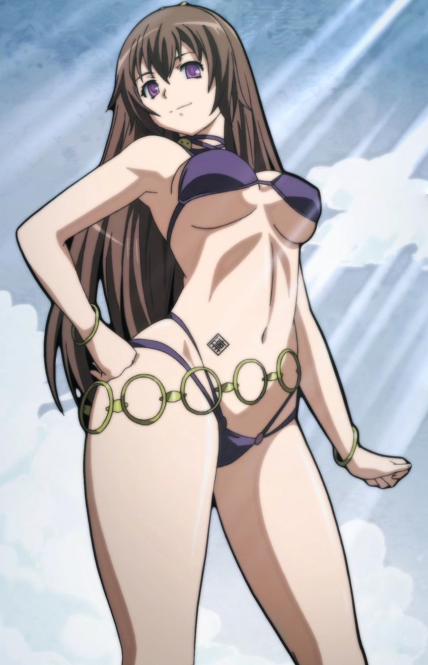 bikini bracelet breasts brown_hair cloud day from_below hand_on_hip highres hyakka_ryouran_samurai_girls jewelry large_breasts legs light_rays long_hair long_legs navel purple_eyes screencap sky solo stitched sunbeam sunlight swimsuit tattoo thighs third-party_edit tokugawa_sen underboob wide_hips