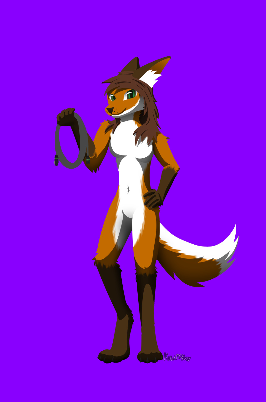 4_toes 5_fingers absurd_res anthro bottomless bottomless_anthro bottomless_female breasts brown_ears brown_hair brown_hands brown_paws canid canine claws clothed clothing countershading dipstick_ears dipstick_tail elbow_tuft featureless_breasts featureless_crotch feet female fingers fox fur fur_markings gloves_(marking) green_eyes hair hand_on_hip hi_res hip_fuft inner_ear_fluff kinipshun leg_markings lineless looking_at_viewer mammal markings michelle_(kinipshun) monotone_background multicolored_ears navel orange_body orange_fur purple_background shoulder_tuft simple_background smile socks_(marking) solo standing tail_markings toes topless topless_anthro topless_female tuft