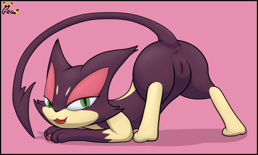 anus ass_up butt female feral gau_(artist) generation_5_pokemon genitals hi_res looking_at_viewer nintendo pokemon pokemon_(species) presenting presenting_pussy purple_body purrloin pussy raised_tail solo video_games yoru_(purrloin)