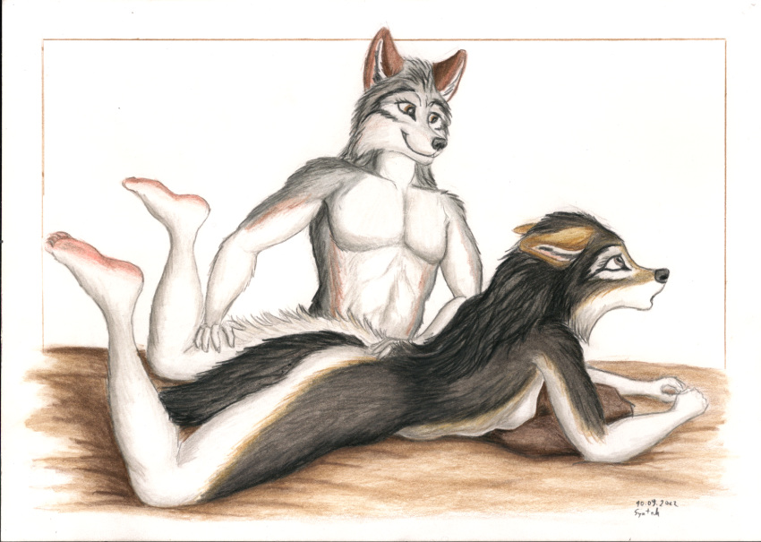 anthro brown_eyes canid canine canis duo female hi_res lying male male/female mammal nude petting pillow plantigrade simle simple_background stroking surprise syntech traditional_media_(artwork) wolf