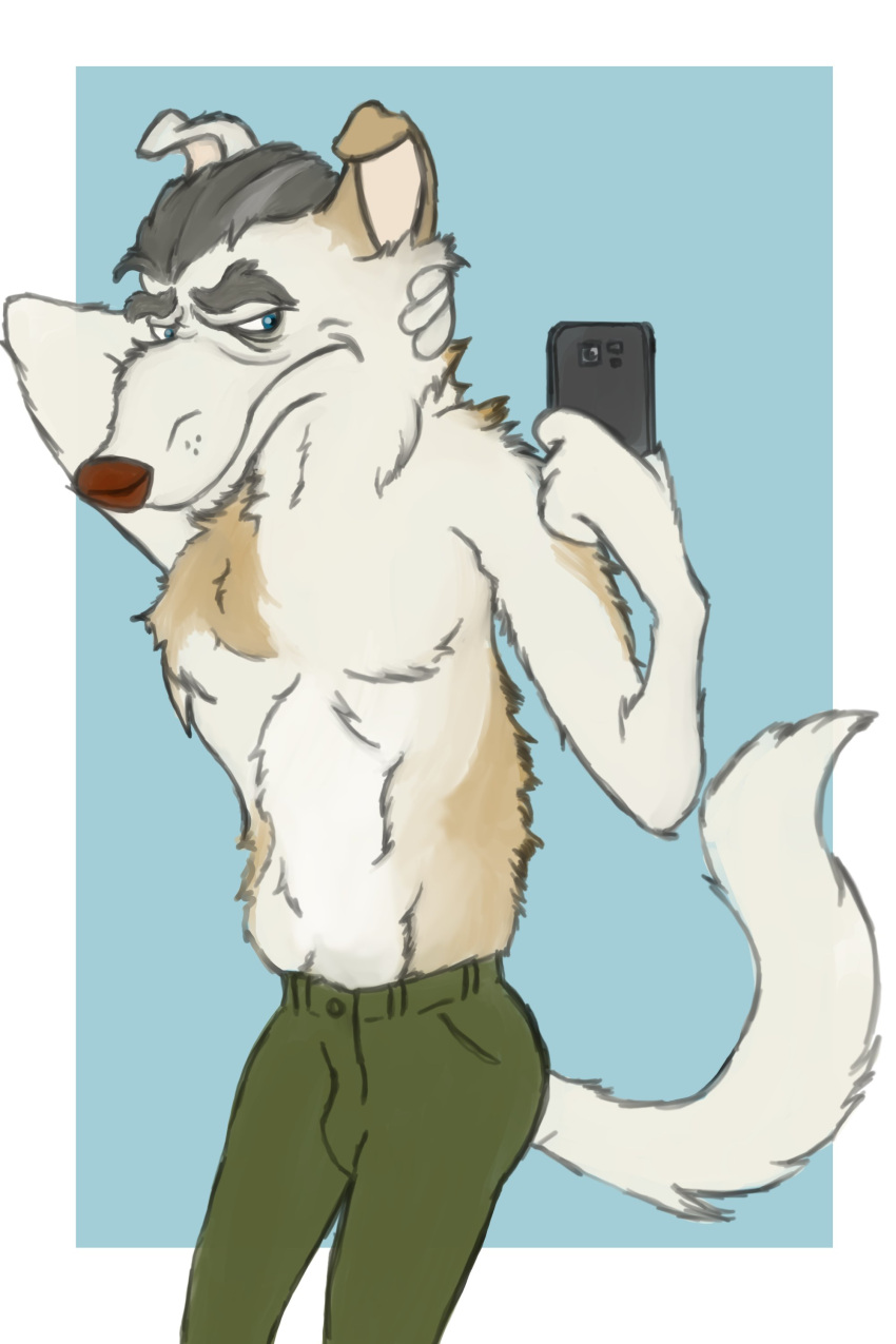 absurd_res anthro borzoi bottomwear canid canine canis clothing domestic_dog fluffypunk grey_hair hair hi_res hunting_dog male mammal mature_male no_shirt old pants phone pose selfie sighthound solo what