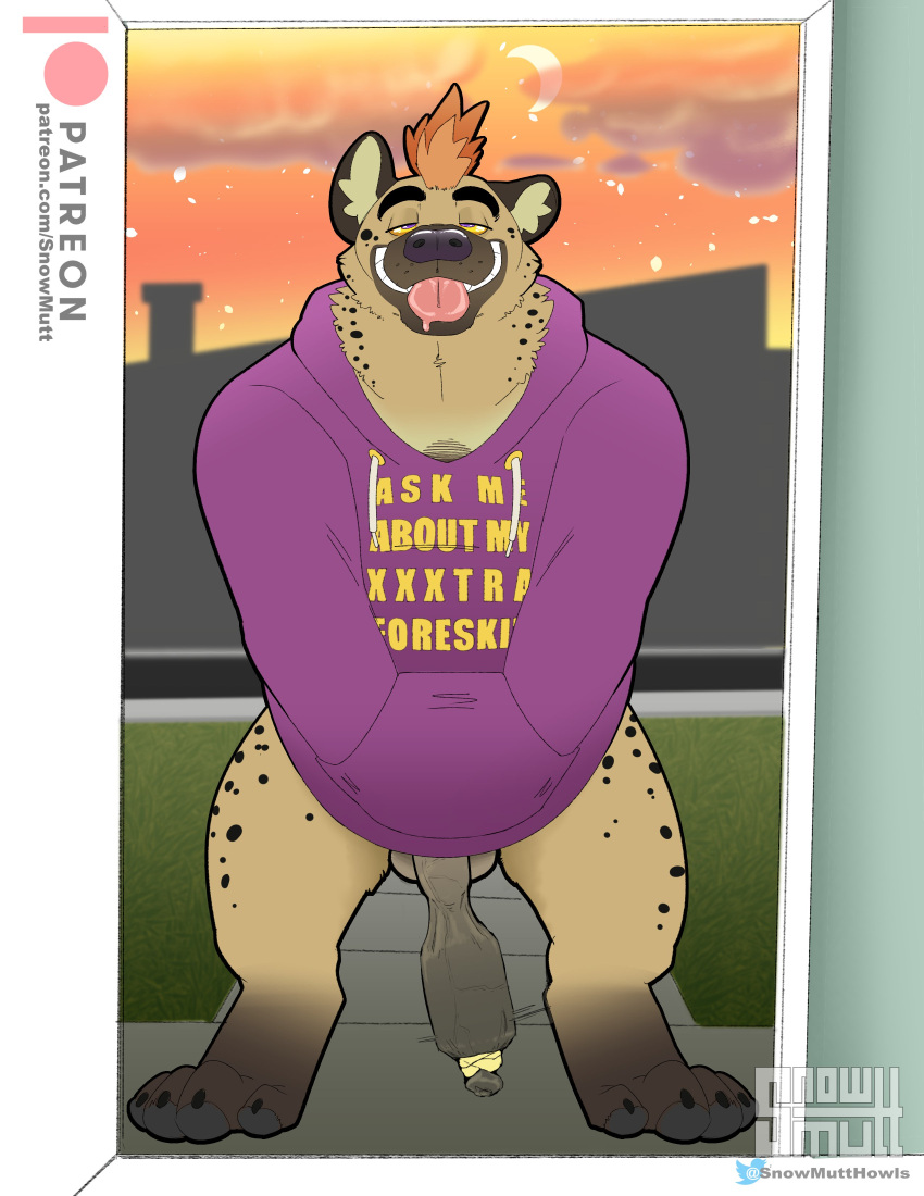 absurd_res anthro balls bottomless clothed clothing drakirion foreskin foreskin_play genitals hand_in_pocket hi_res hoodie hyaenid long_foreskin male mammal object_in_foreskin penis pockets snowmutt solo tied_foreskin tongue tongue_out topwear