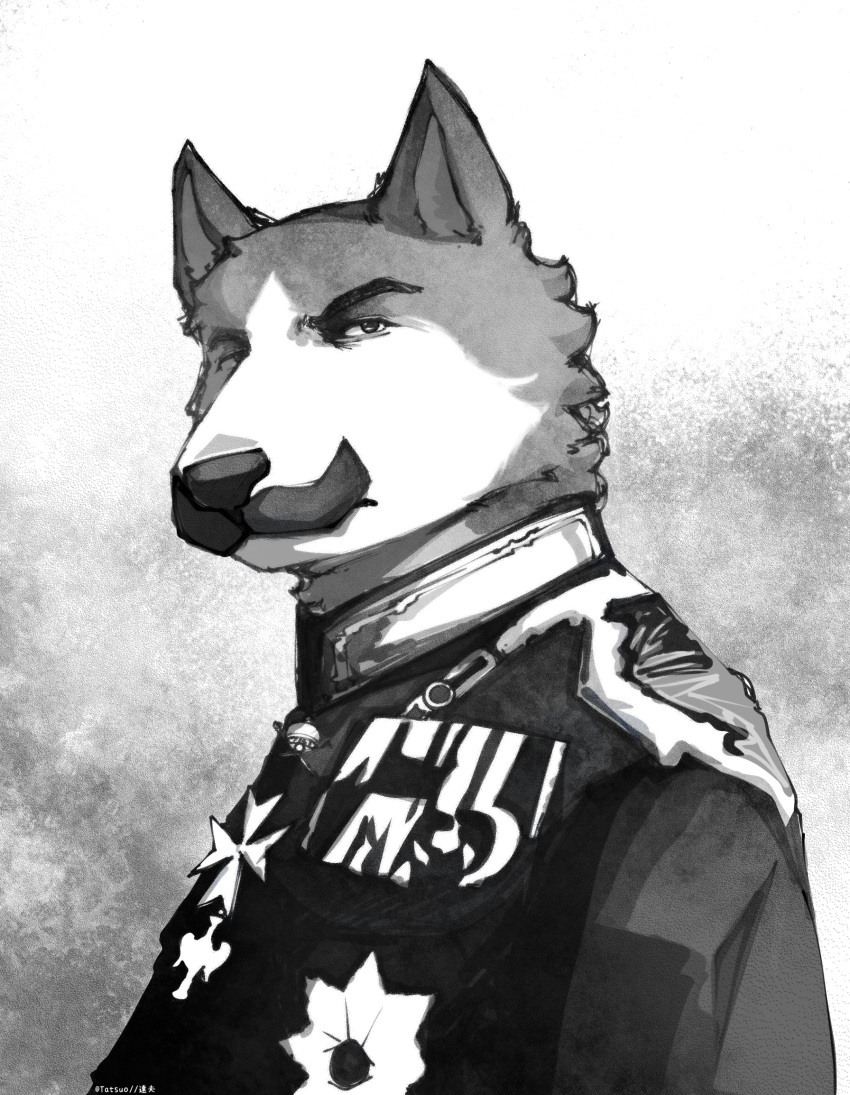 anthro black_and_white canid canine canis clothed clothing domestic_dog emperor facial_hair german_empire german_shepherd herding_dog hi_res male mammal medal mitchthegoat monochrome mustache pastoral_dog prussian royalty solo world_war_1