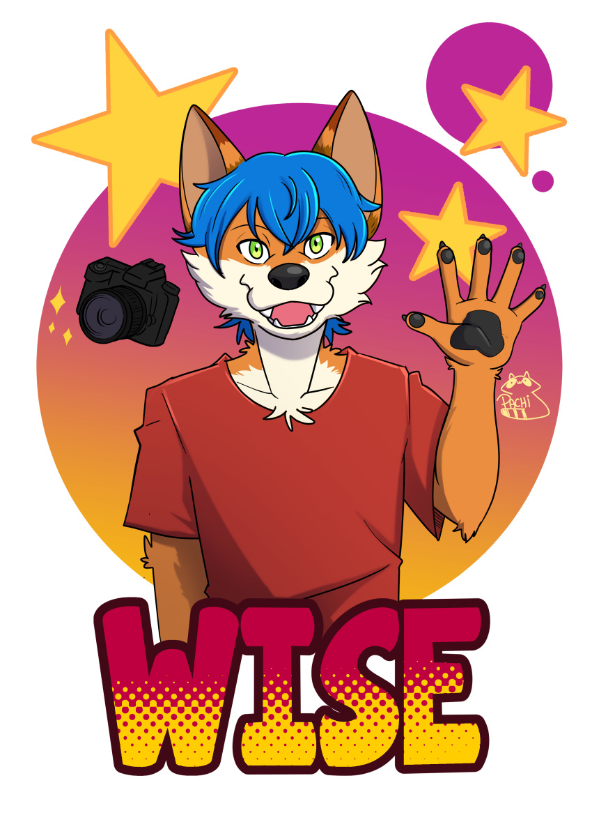 absurd_res anthro blue_hair camara canid canine clothing culpeo_fox green_eyes hair hi_res lycalopex male mammal pachi_mapache red_clothing shirt t-shirt topwear wise_(character)